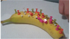 Most Thumbtacks Stuck Into A Banana